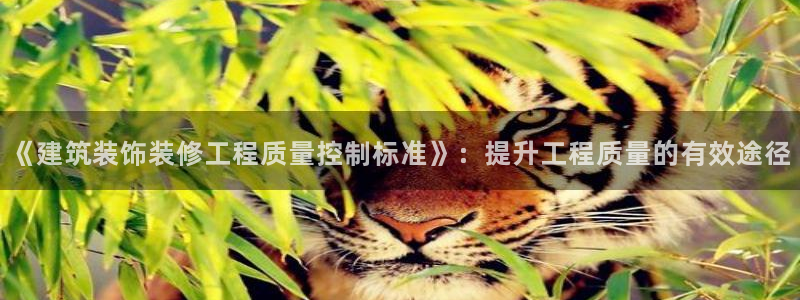 顺盈娱乐