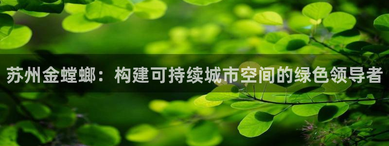 顺盈2娱乐主管啊判官333OO