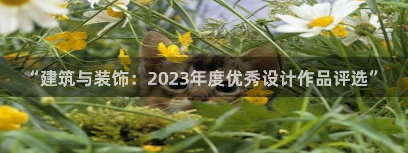 顺盈2娱乐主管啊判官333OO