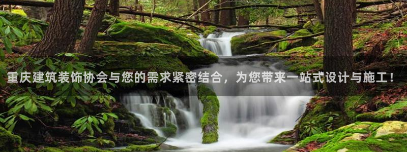 顺盈娱乐下载最新版
