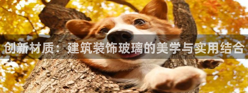 顺盈2娱乐主管啊判官333OO