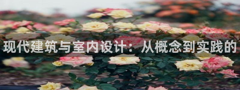 顺盈娱乐招商助判官333OO