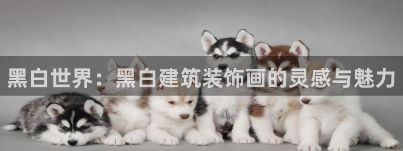 盈顺棋牌娱乐室地址电话