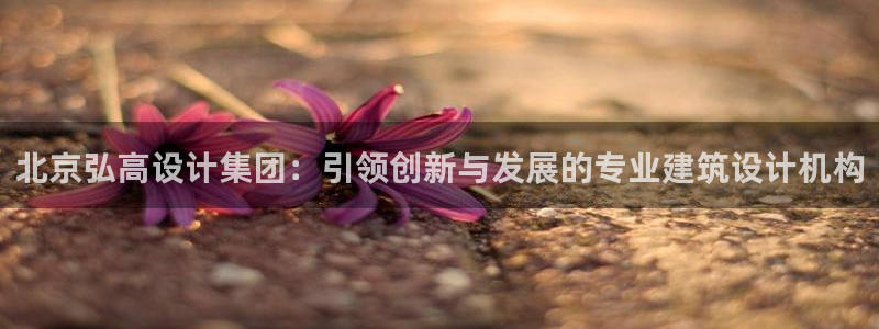 顺盈娱乐322901