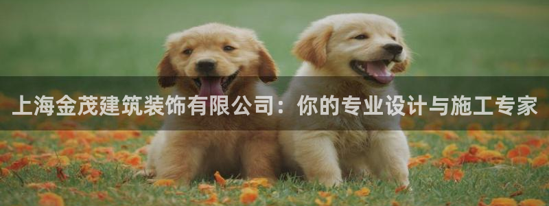 清远顺盈娱乐集团怎么样