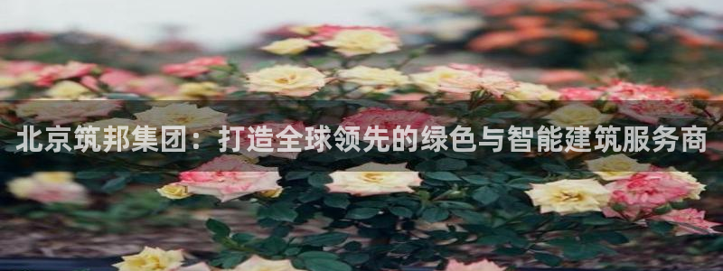 清远顺盈娱乐集团