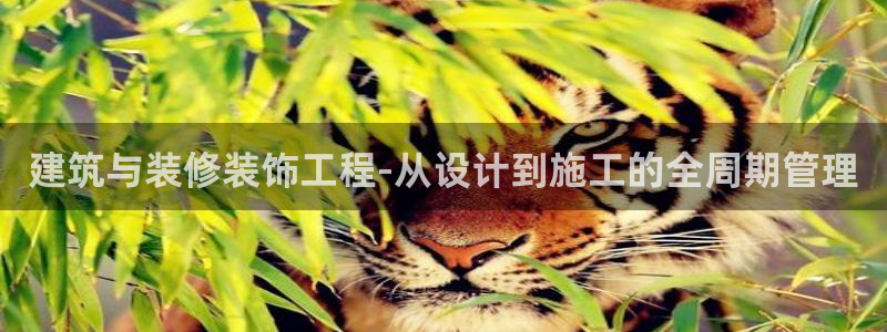 顺盈娱乐棋牌怎么样