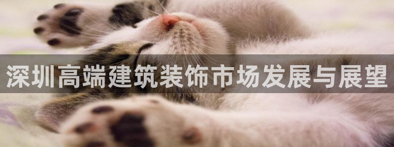 顺盈娱乐口究7276O
