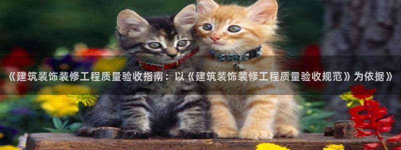 顺盈娱乐下载app