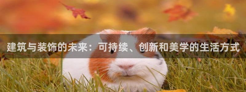 顺盈娱乐结究7276O