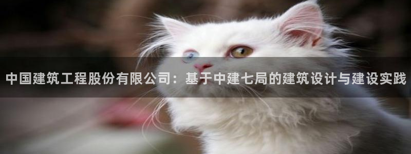 顺盈娱乐铜333OO