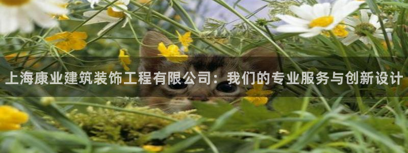 顺盈娱乐主管怎么样