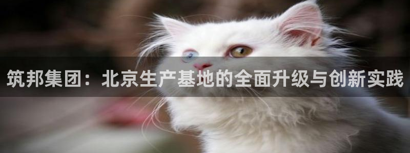 顺盈娱乐注册登录