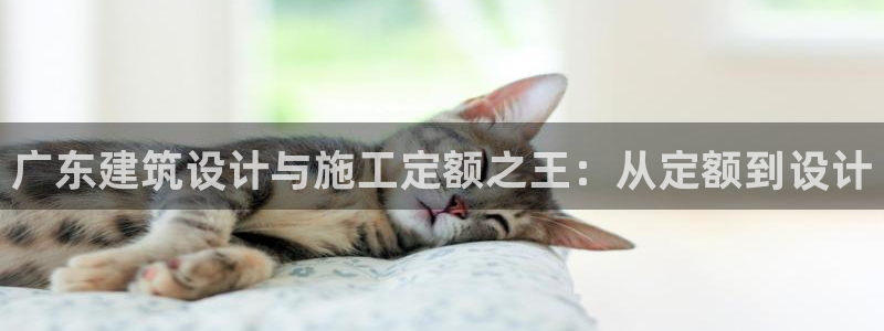 顺盈娱乐在线开户流程图