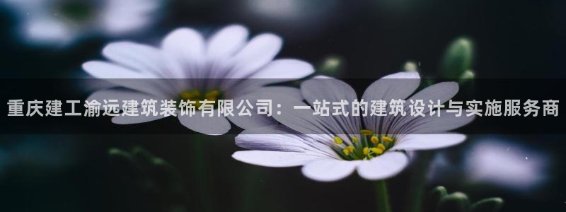顺盈娱乐平台官网电话