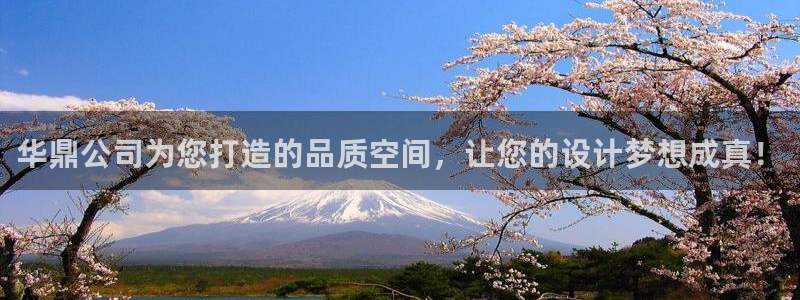 顺盈娱乐登录地址查询