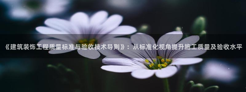 清远顺盈娱乐公司实习