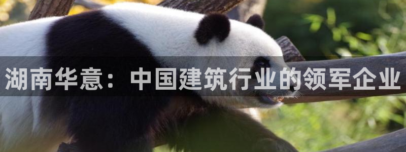顺盈娱乐姜333OO