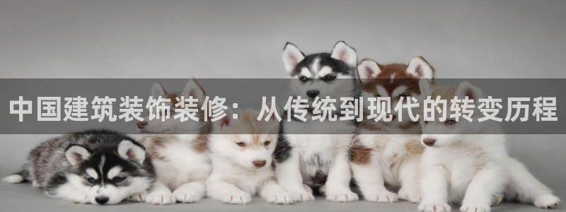 顺盈娱乐场究7276O