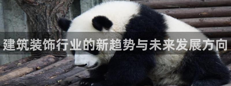 顺盈娱乐主管杂判官333OO