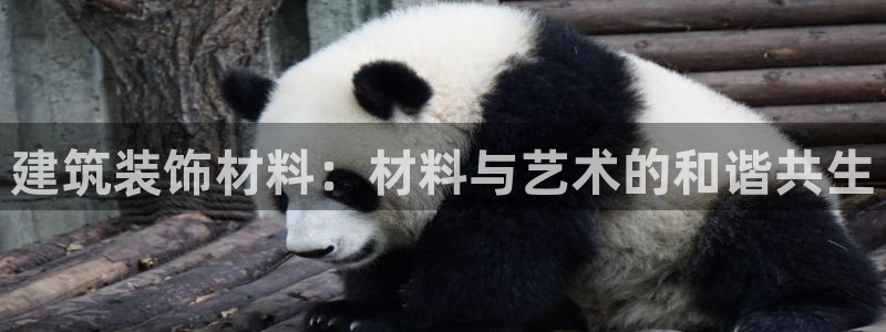 顺盈娱乐28是什么