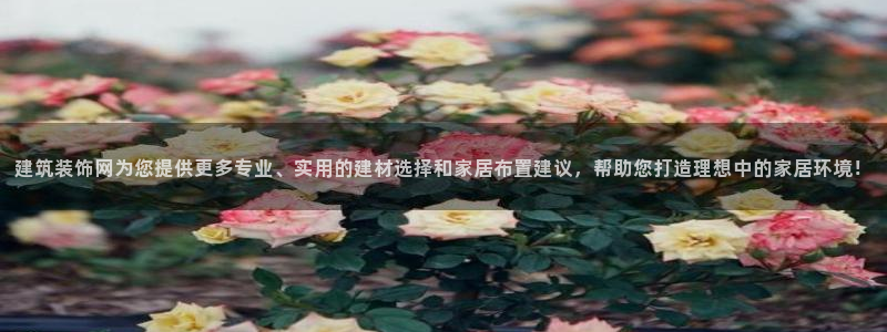 清远顺盈娱乐公司