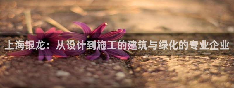 顺盈娱乐最高代理人是谁