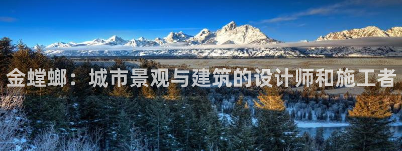 顺盈娱乐平台官网电话