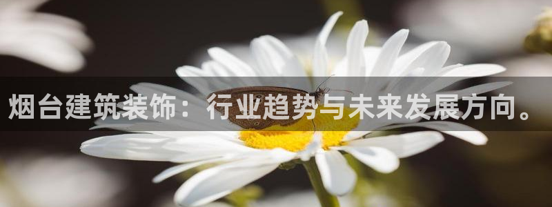 清远顺盈娱乐城