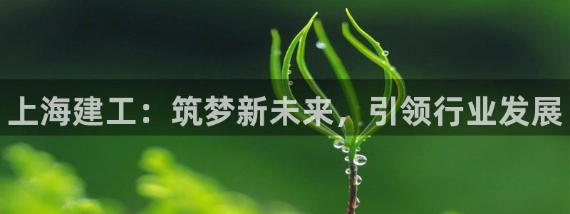 顺盈娱乐平台会黑人吗