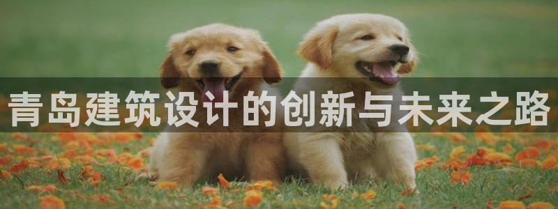 顺盈2娱乐滴qv382223