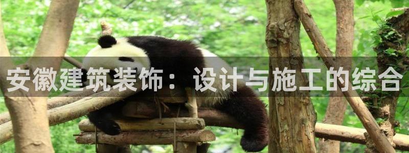 顺盈娱乐招商前原判官333OO