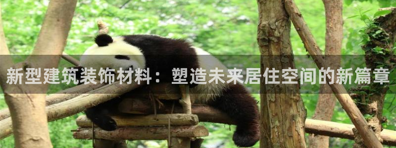 顺盈娱乐各究7276O