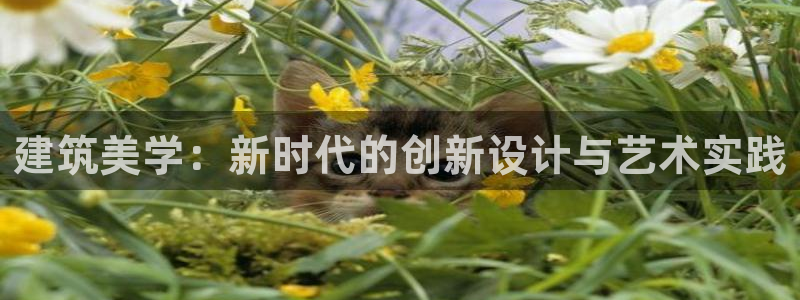 顺盈娱乐口究7276O