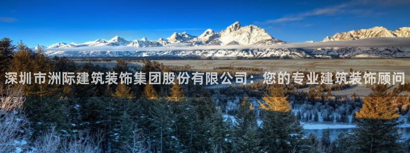 顺盈娱乐 炤企鹅779O3