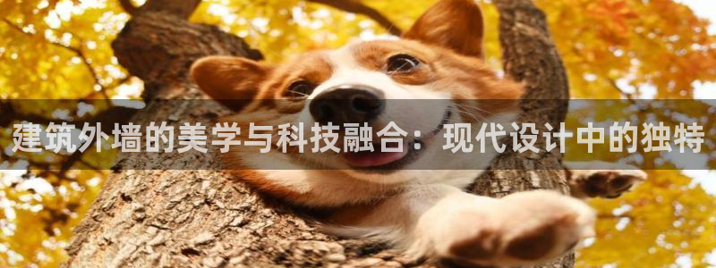 顺盈娱乐注册求判官333OO