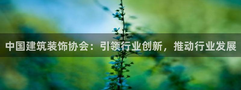 顺盈娱乐