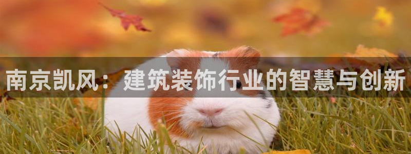 顺盈彩票娱乐