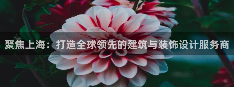 顺盈娱乐在线注册账号