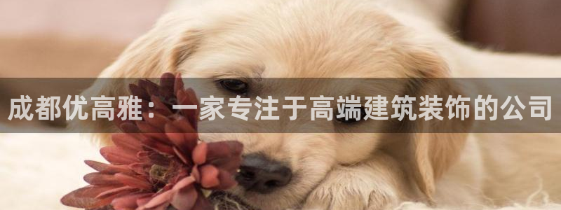 顺盈时代广场娱乐项目